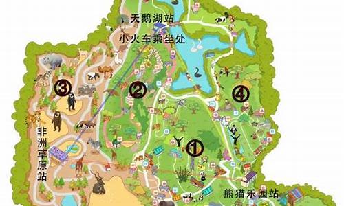 上海野生动物园路线怎么走比较好_上海野生