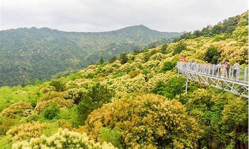 赣州旅游十大景点,赣州旅游景点大全花海