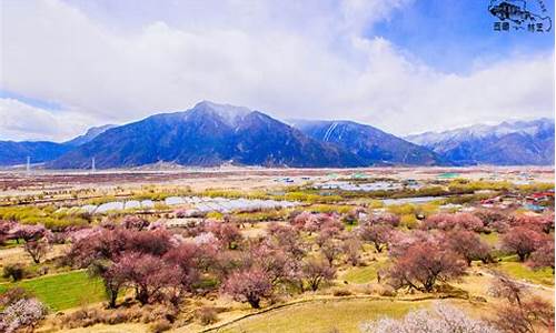 林芝旅游最省钱的攻略,林芝旅游攻略购物推荐