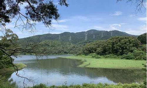 天竺山森林公园票价,天竺山森林公园票价多少钱