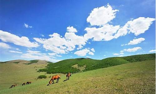 丰宁坝上草原门票价格_丰宁坝上草原旅游攻略马蜂窝博客最新