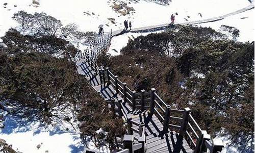 昆明到轿子雪山的路好走吗,昆明到轿子雪山自驾路线