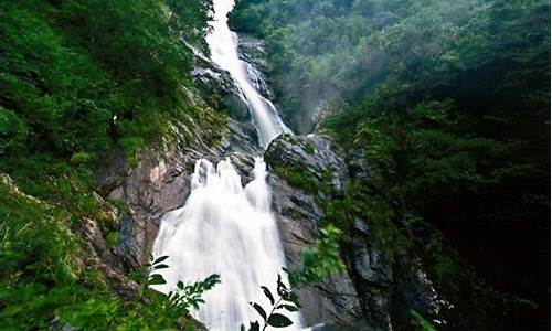 天目山旅游攻略一天游多久_天目山旅游攻略一天游