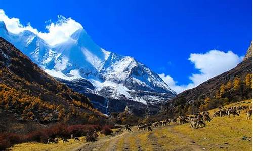 稻城亚丁旅游攻略自由行攻略详解图片_稻城亚丁旅游攻略自由行攻