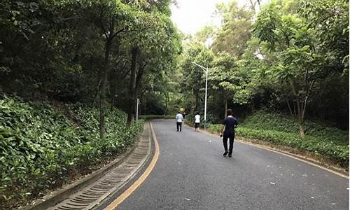 深圳铁仔山公园电话_深圳铁仔山公园跑步