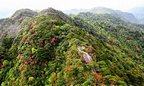 南岭森林公园景区介绍_南岭森林公园景区