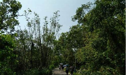 江门石花山公园_江门市台山石花山