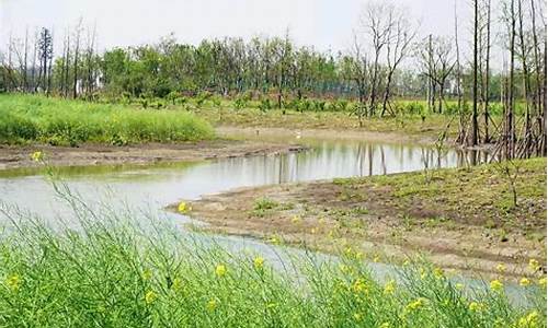 郊野公园攻略冬季,郊野公园游玩攻略