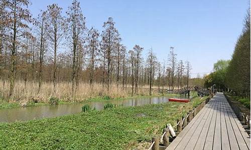 雄安郊野公园有哪些景点,郊野公园有哪些景点