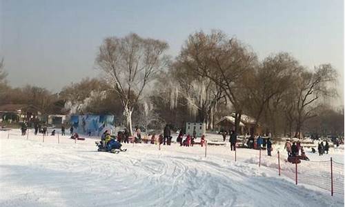 冰雪公园风景图片大全_冰雪公园风景