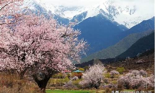 林芝景区海拔_林芝景点海拔高度多少米