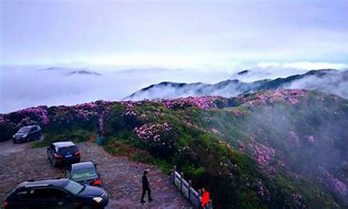 双牌阳明山寺庙,双牌阳明山攻略最新