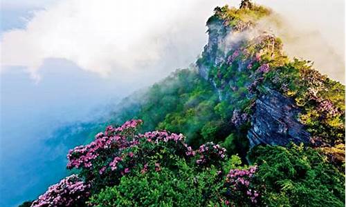 光雾山香炉山风景区_光雾山旅游攻略香炉山怎么走