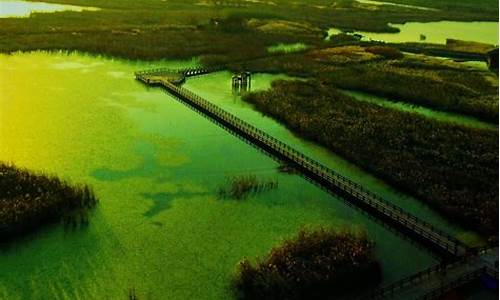 慈溪杭州湾湿地旅游路线图_慈溪杭州湾湿地公园门票多少