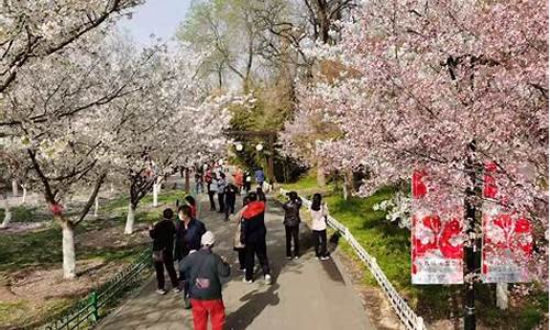 玉渊潭公园樱花节年票能用吗,玉渊潭樱花节门票多少钱