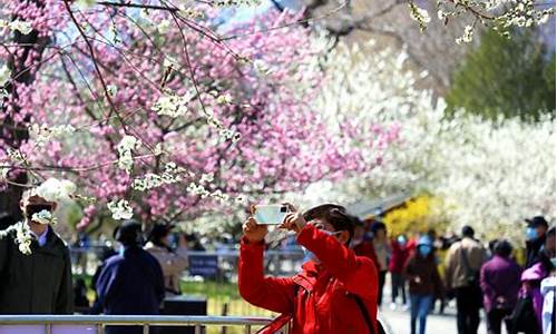 北京清明节游玩攻略_09年北京清明节旅游路线