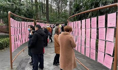 成都人民公园征婚_成都人民公园征婚图片