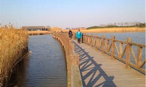 东滩湿地公园旅游攻略_上海东滩湿地公园攻略