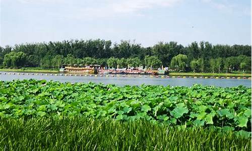 北京通州大运河森林公园,北京通州大运河森林公园简介