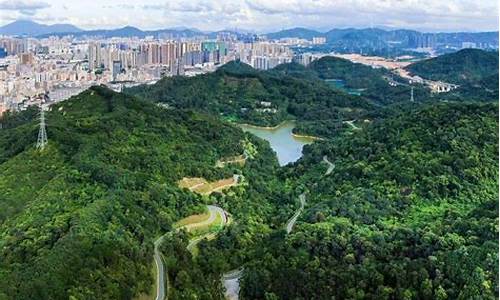 龙华莲花山公园公交路线,龙华莲花山公园有什么好玩的景点