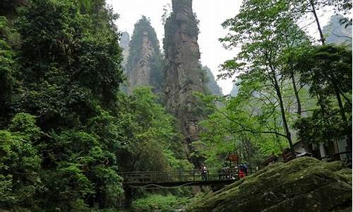 武汉到张家界旅游攻略,武汉到张家界旅游自由行攻略