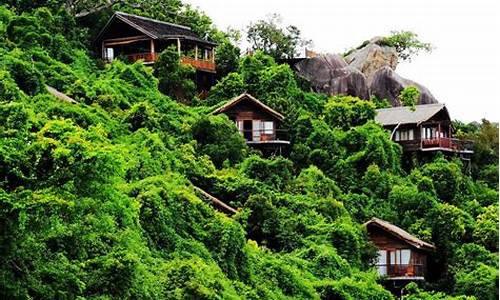 三亚森林公园住宿,三亚森林公园住一晚多少钱