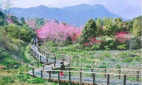 阿里山旅游攻略一日游_阿里山旅游攻略一日游路线图