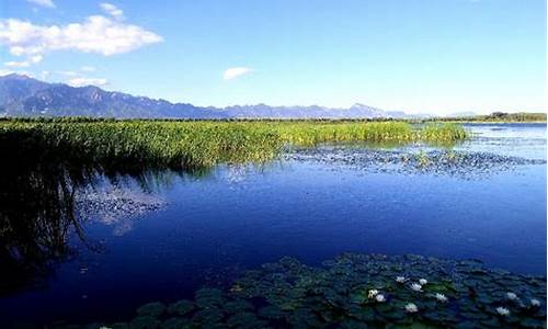 延庆野鸭湖湿地公园攻略一日游,延庆野鸭湖湿地公园攻略