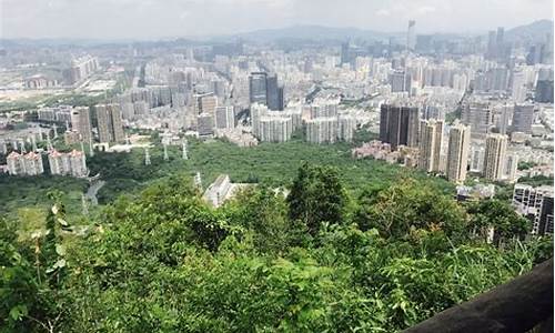 深圳南山公园最高点是观景台-深圳南山公园海拔