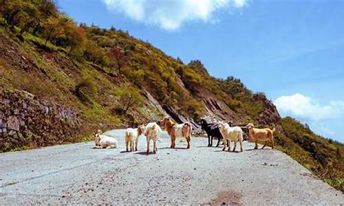 秋季旅游宣传语-秋季旅游攻略标题大全