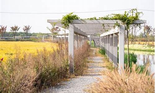 嘉北郊野公园攻略一日游-嘉北郊野公园攻略一日游作文