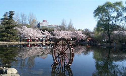 北京玉渊潭公园门票-北京玉渊潭公园门票多少钱早上几点开业晚上