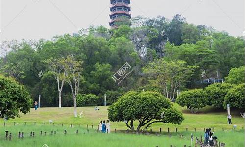 公明红花山停车场收费嘛-深圳红花山公园停车场收费吗