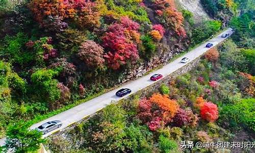 翠华山旅游攻略一日游-翠华山旅游景点