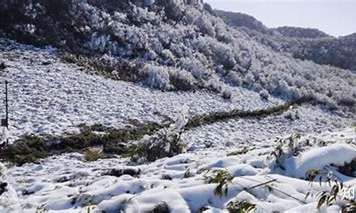 南川景点哪里封了-重庆南川风景区游玩攻略