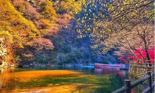 太平森林公园几点开门-太平森林公园玩门票什么消费