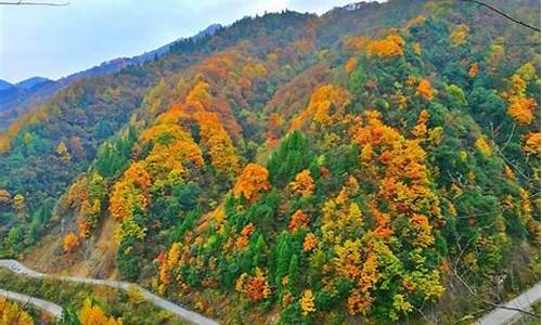 光雾山旅游攻略班车-光雾山旅游攻略班车路线