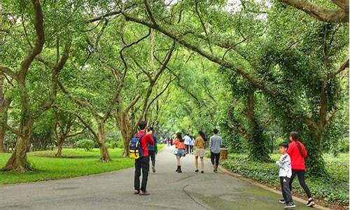 华南植物园景区_华南植物园攻略最新开放