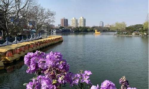 上海长风公园在哪个区域,上海长风公园在哪
