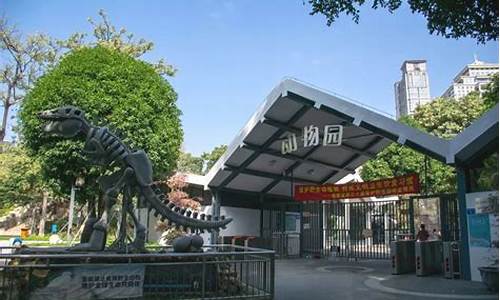 厦门中山公园动物园小熊猫,厦门中山公园里的动物园有开放吗